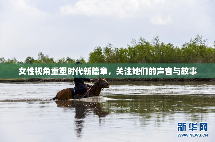 女性视角重塑时代新篇章，关注她们的声音与故事