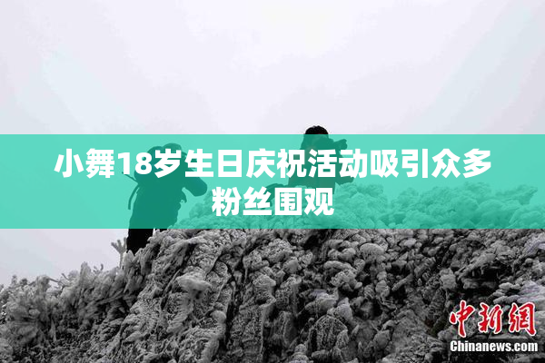 小舞18岁生日庆祝活动吸引众多粉丝围观