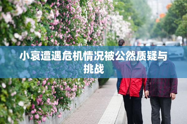 小哀遭遇危机情况被公然质疑与挑战