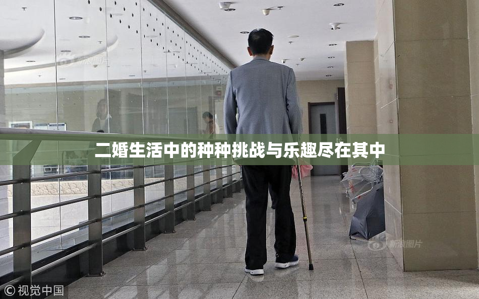 二婚生活中的种种挑战与乐趣尽在其中