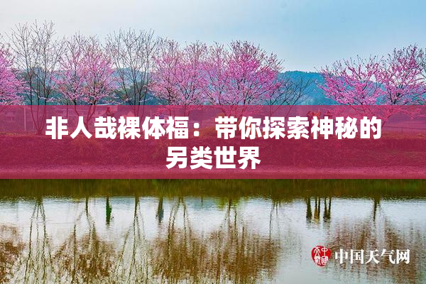 非人哉裸体福：带你探索神秘的另类世界