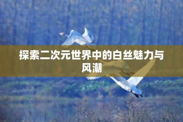 探索二次元世界中的白丝魅力与风潮
