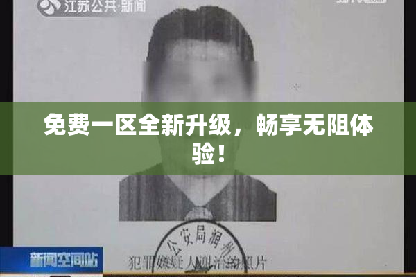 免费一区全新升级，畅享无阻体验！