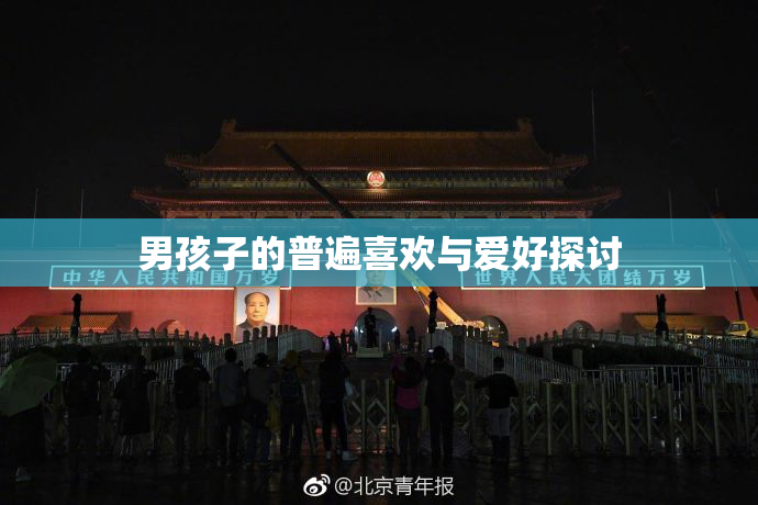 男孩子的普遍喜欢与爱好探讨