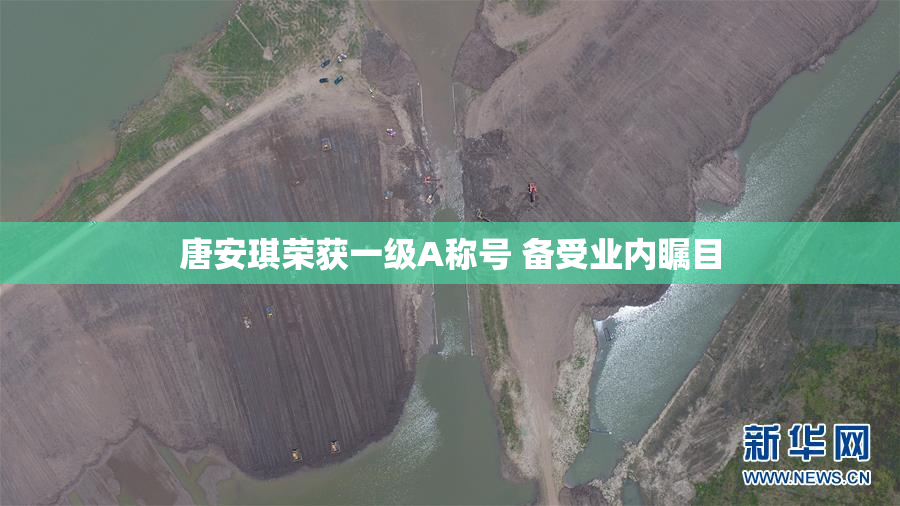唐安琪荣获一级A称号 备受业内瞩目