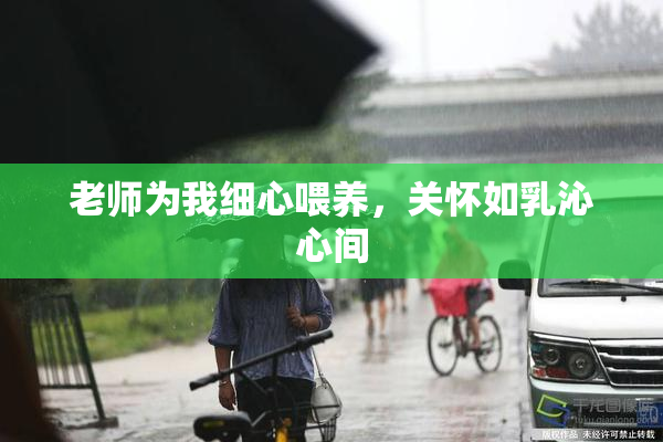 老师为我细心喂养，关怀如乳沁心间