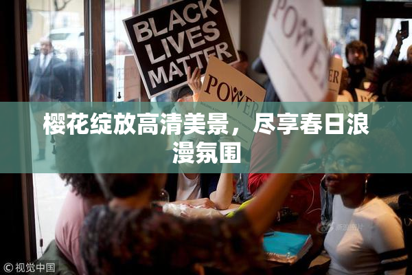 樱花绽放高清美景，尽享春日浪漫氛围