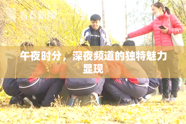 午夜时分，深夜频道的独特魅力显现
