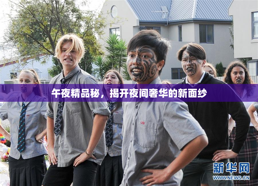 午夜精品秘，揭开夜间奢华的新面纱
