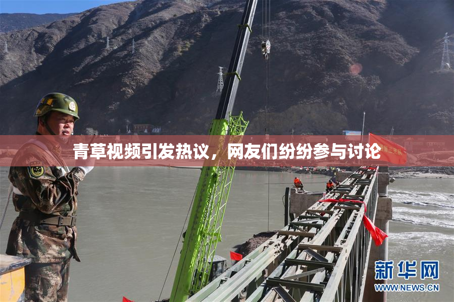 青草视频引发热议，网友们纷纷参与讨论