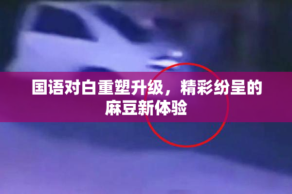 国语对白重塑升级，精彩纷呈的麻豆新体验