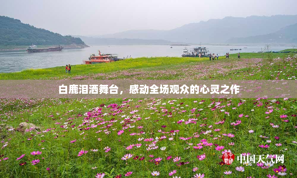 白鹿泪洒舞台，感动全场观众的心灵之作