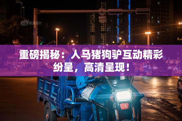 重磅揭秘：人马猪狗驴互动精彩纷呈，高清呈现！