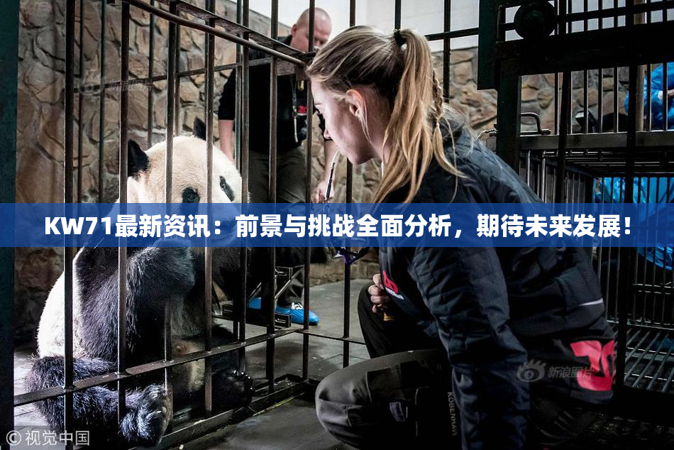 KW71最新资讯：前景与挑战全面分析，期待未来发展！