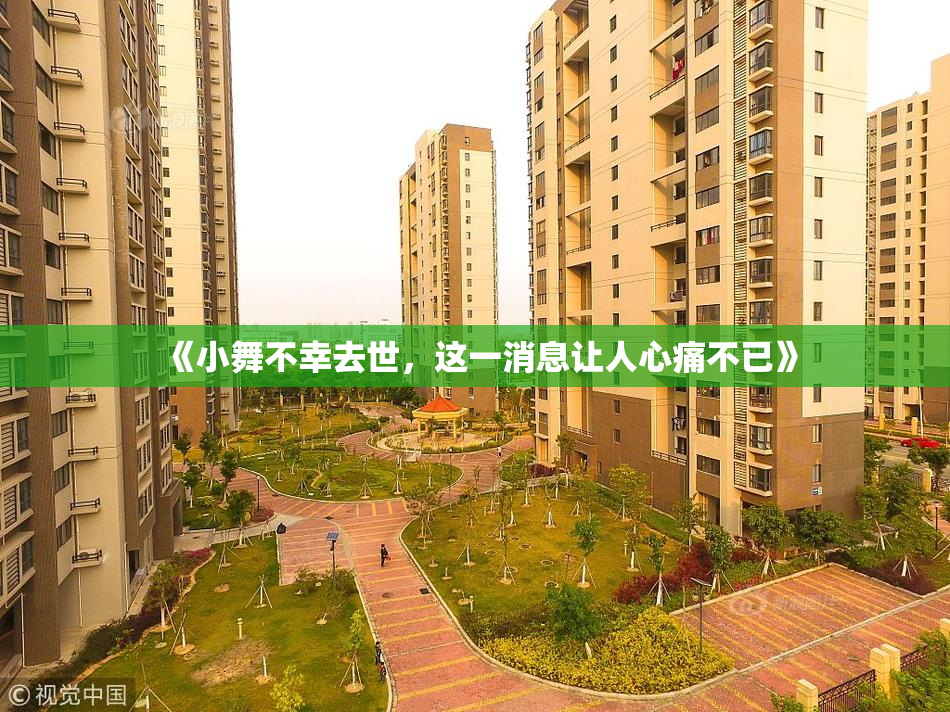《小舞不幸去世，这一消息让人心痛不已》