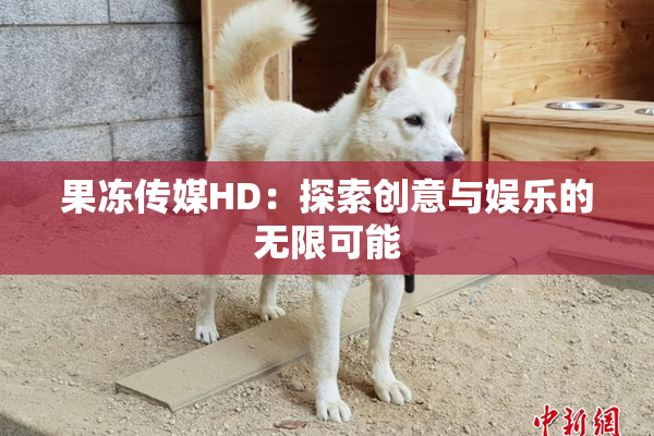 果冻传媒HD：探索创意与娱乐的无限可能
