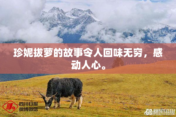 珍妮拔萝的故事令人回味无穷，感动人心。
