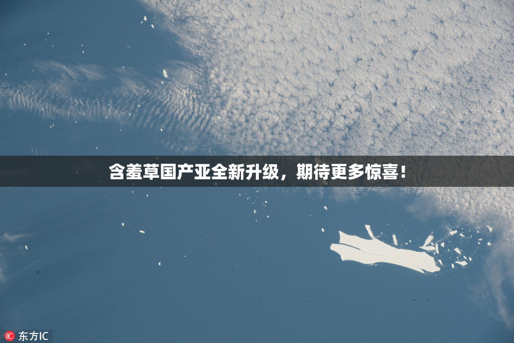 含羞草国产亚全新升级，期待更多惊喜！