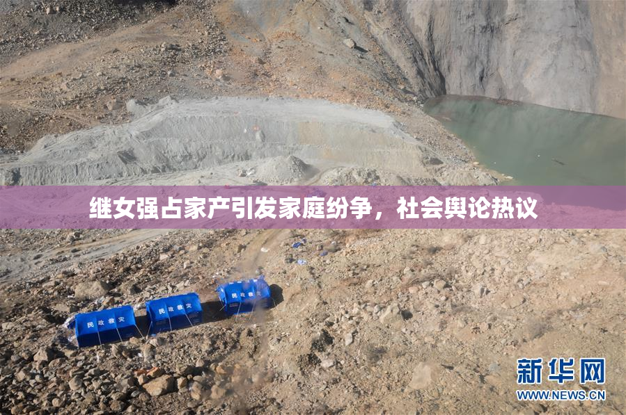 继女强占家产引发家庭纷争，社会舆论热议