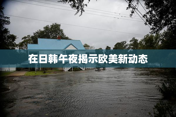 在日韩午夜揭示欧美新动态