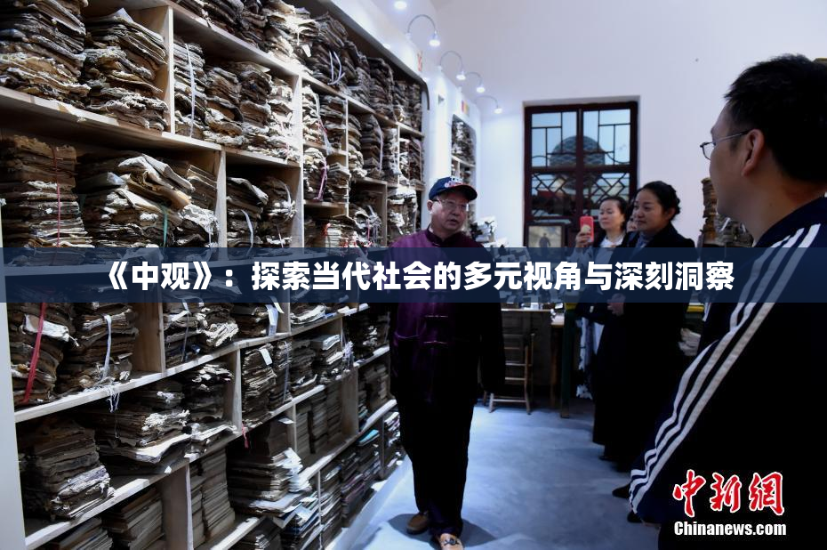 《中观》：探索当代社会的多元视角与深刻洞察