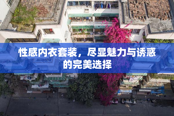 性感内衣套装，尽显魅力与诱惑的完美选择