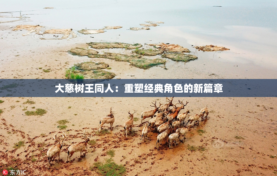 大慈树王同人：重塑经典角色的新篇章