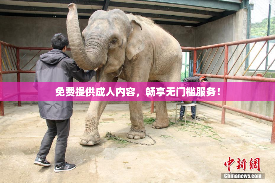 免费提供成人内容，畅享无门槛服务！