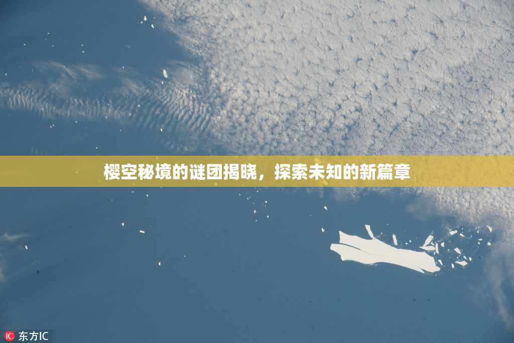 樱空秘境的谜团揭晓，探索未知的新篇章