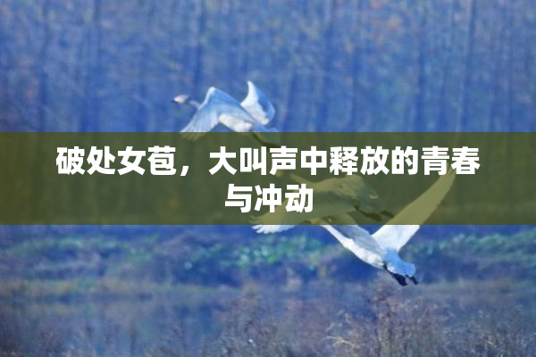破处女苞，大叫声中释放的青春与冲动