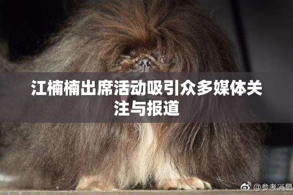 江楠楠出席活动吸引众多媒体关注与报道