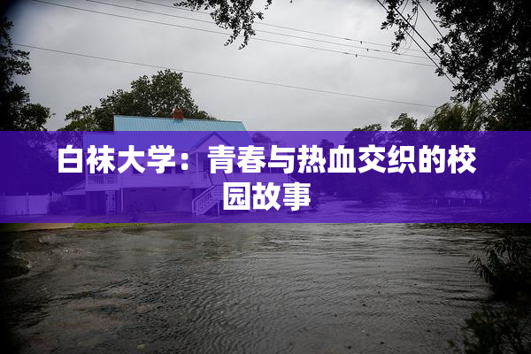 白袜大学：青春与热血交织的校园故事
