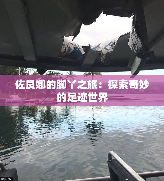 佐良娜的脚丫之旅：探索奇妙的足迹世界