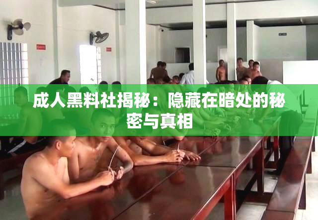 成人黑料社揭秘：隐藏在暗处的秘密与真相