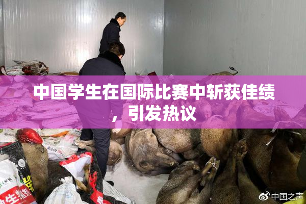 中国学生在国际比赛中斩获佳绩，引发热议