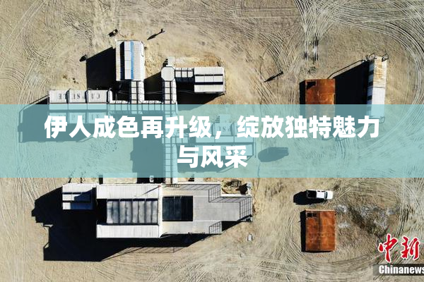 伊人成色再升级，绽放独特魅力与风采
