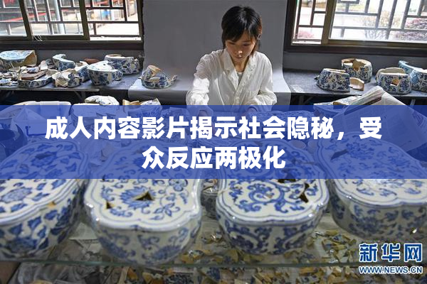 成人内容影片揭示社会隐秘，受众反应两极化