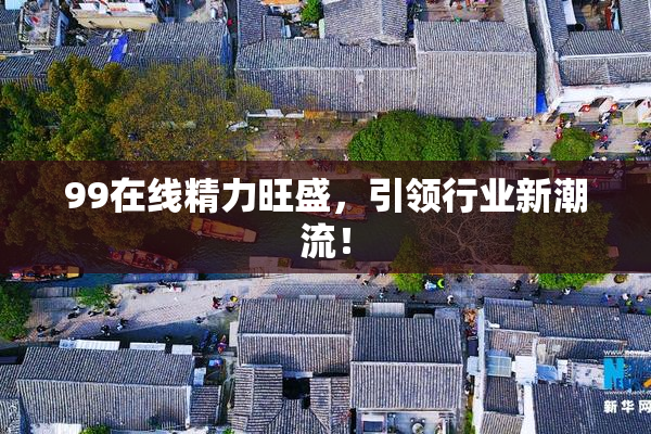 99在线精力旺盛，引领行业新潮流！