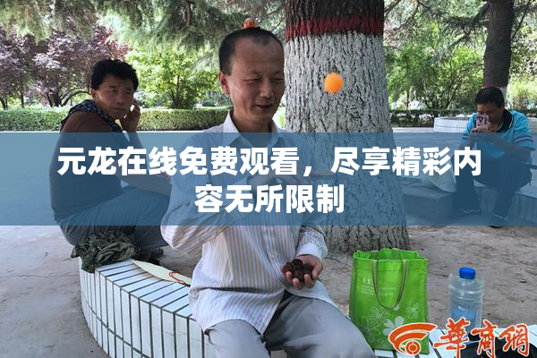 元龙在线免费观看，尽享精彩内容无所限制