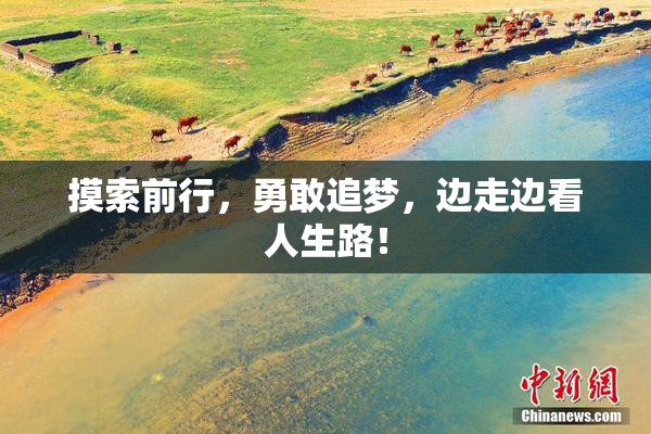 摸索前行，勇敢追梦，边走边看人生路！