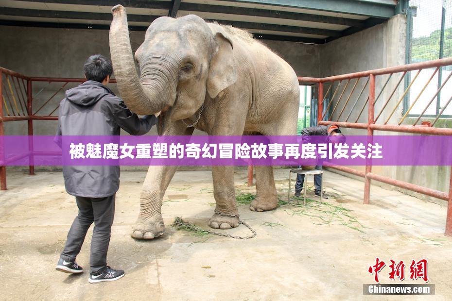 被魅魔女重塑的奇幻冒险故事再度引发关注