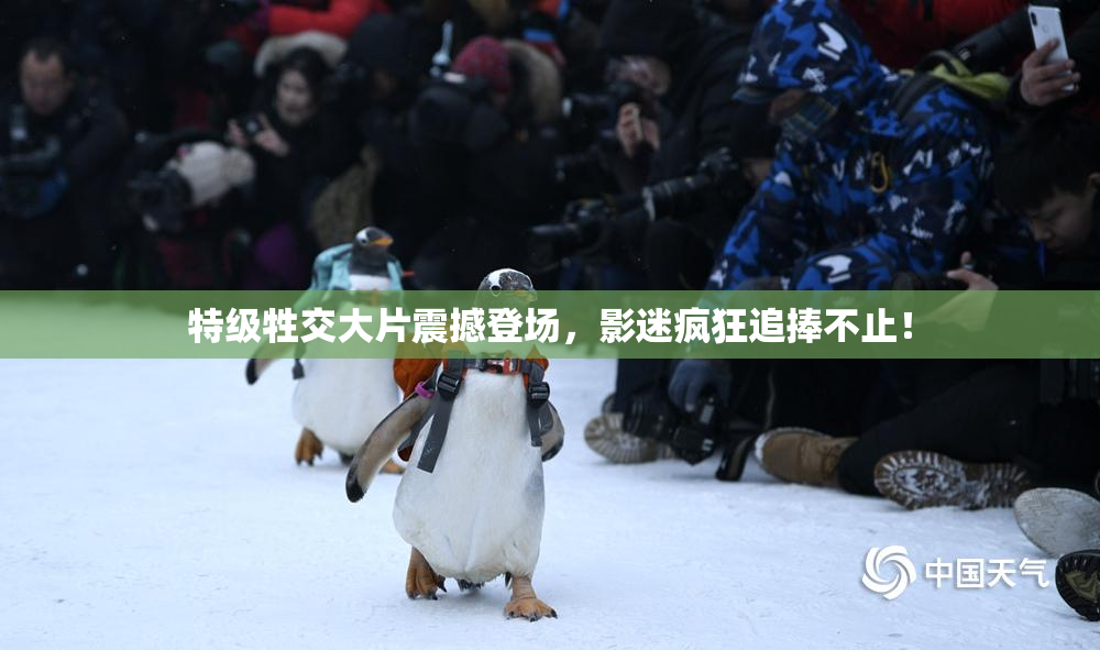 特级牲交大片震撼登场，影迷疯狂追捧不止！