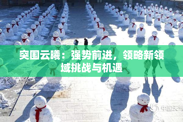 突围云曦：强势前进，领略新领域挑战与机遇