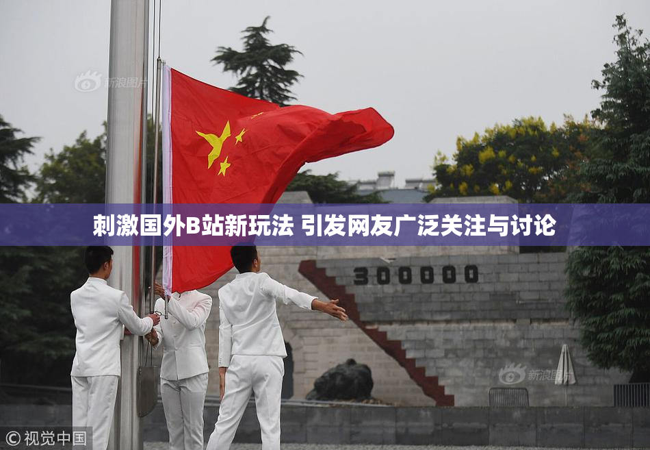 刺激国外B站新玩法 引发网友广泛关注与讨论