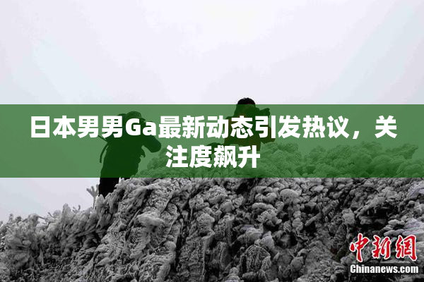 日本男男Ga最新动态引发热议，关注度飙升
