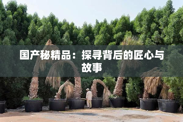 国产秘精品：探寻背后的匠心与故事