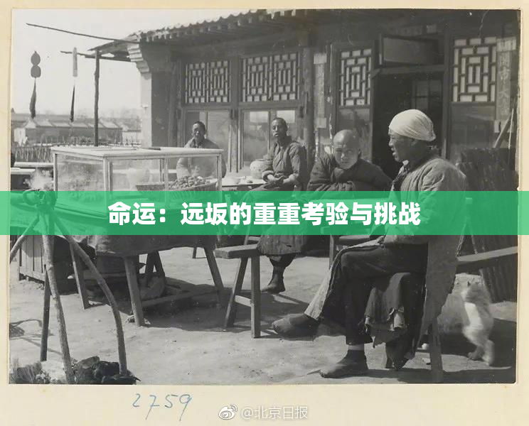 命运：远坂的重重考验与挑战