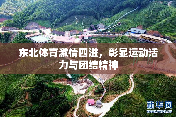 东北体育激情四溢，彰显运动活力与团结精神