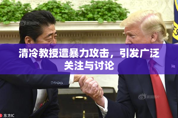 清冷教授遭暴力攻击，引发广泛关注与讨论