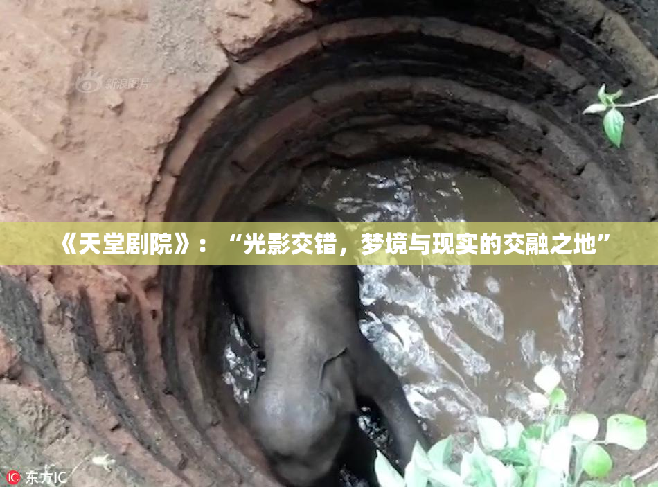 《天堂剧院》：“光影交错，梦境与现实的交融之地”